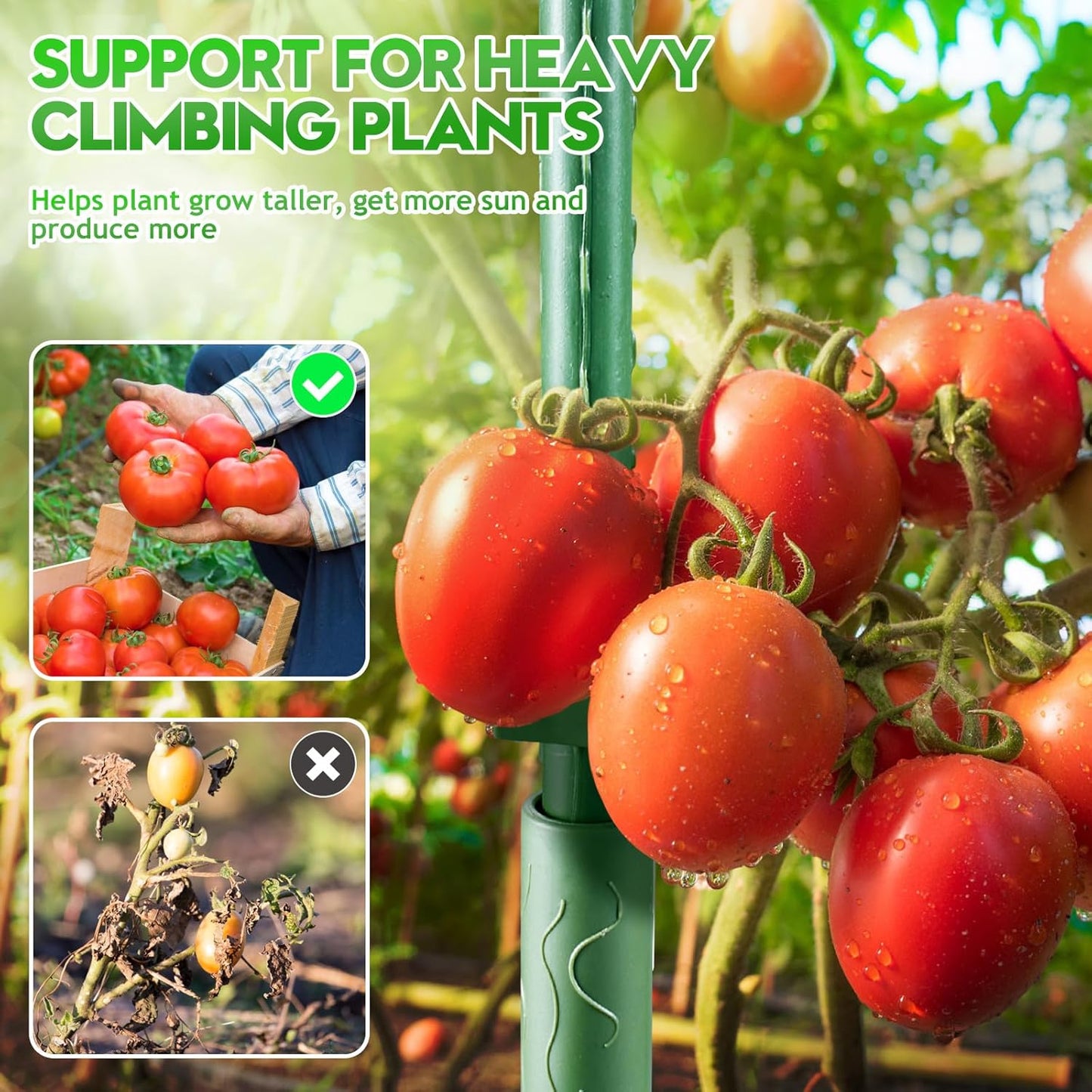 Tomato Cages for Garden and Pots Outdoor,Tomato Plant Stakes,Support Cages Trellis for Climbing Plants Outdoor,Multi-Functional Climbing Vegetables Cages Trellis(48 Inches,4 Pack)
