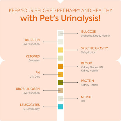 PETNOX 10-Parameter Cat & Dog Urine Test Strips - 30 X Individually Packed & Veterinary Grade Tests - Cat & Dog UTI Test Kit - Pet Test Strips for Urinalysis