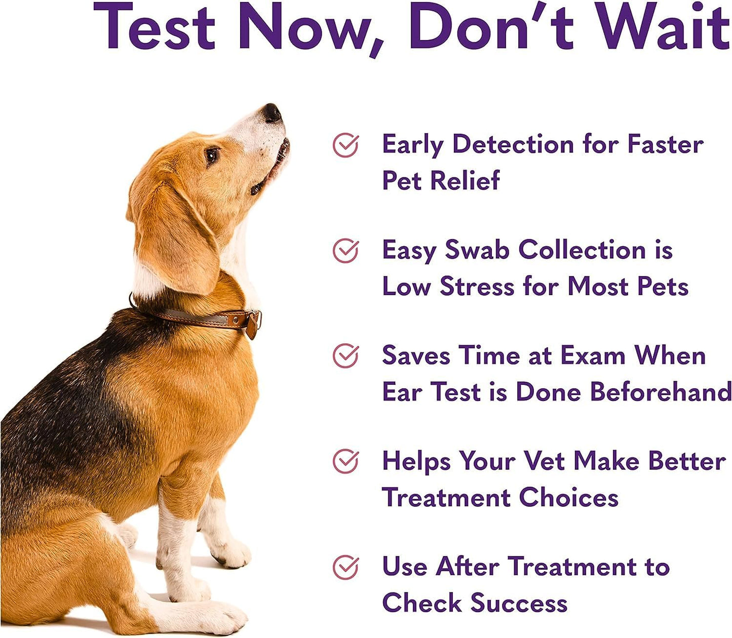 Dogs Ear Infection Test Kit | Fast and Accurate Detection of Yeast and Other Ear Irritations| Reliable Mail-In Dog Ear Care Test for Smelly, Itchy, or Sore Ears