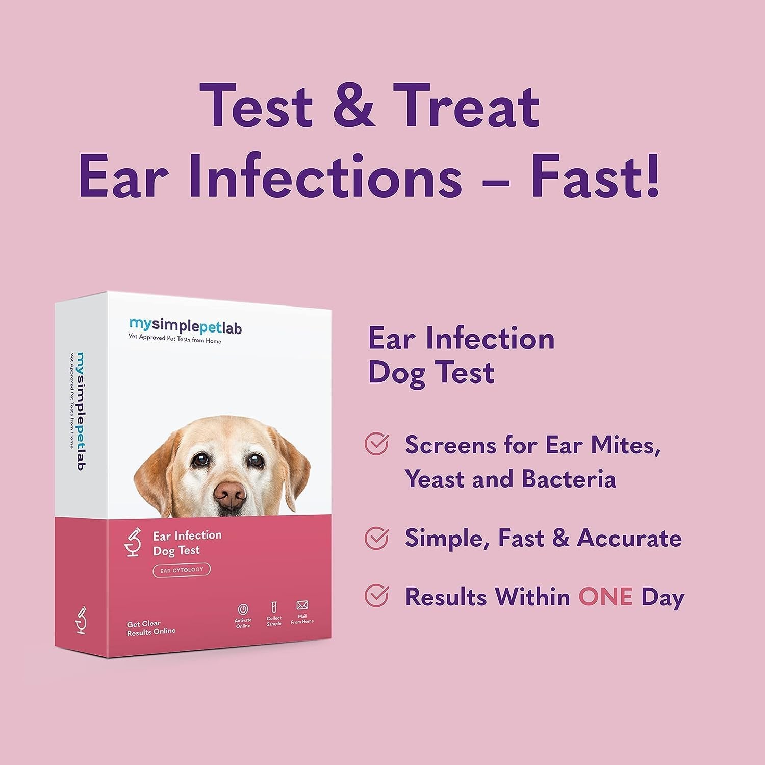 Dogs Ear Infection Test Kit | Fast and Accurate Detection of Yeast and Other Ear Irritations| Reliable Mail-In Dog Ear Care Test for Smelly, Itchy, or Sore Ears